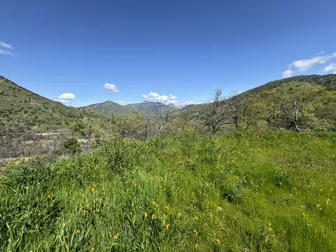 41333 Sierra Dr, Three Rivers, CA 93271 photo 7