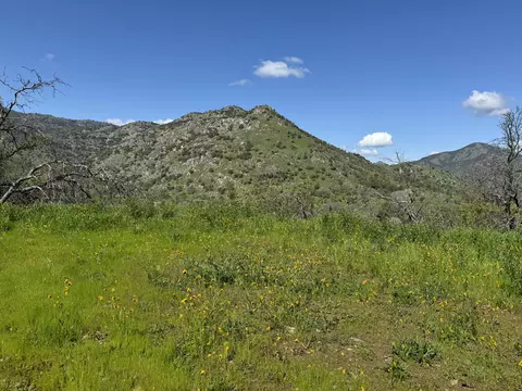 41333 Sierra Dr, Three Rivers, CA 93271 photo 14