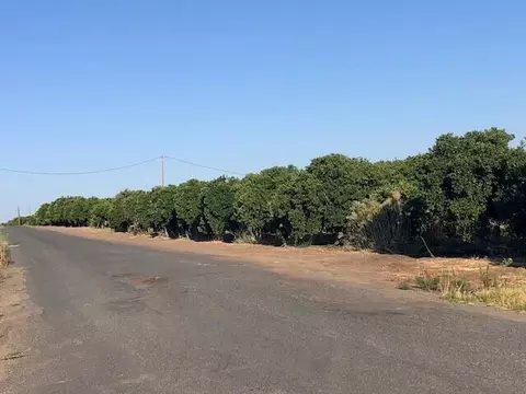 Road 256, Terra Bella, CA 93270