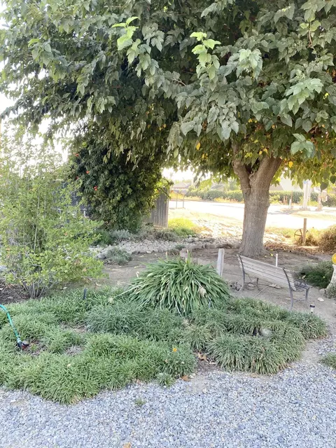 1175 N Belmont Rd, Exeter, CA 93221 photo 25