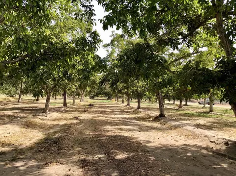 0 Visalia Pkwy, Visalia, CA 93277