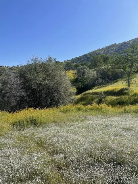E Mynatt Drive, Three Rivers, CA 93271 photo 4