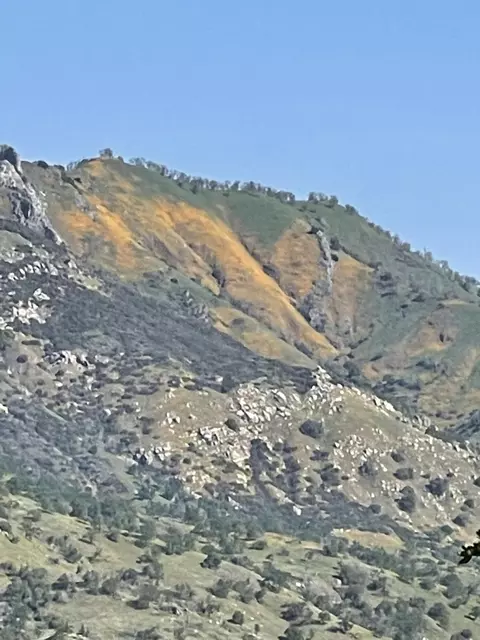 E Mynatt Drive, Three Rivers, CA 93271 photo 2