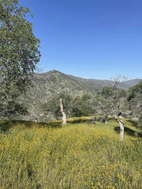 E Mynatt Drive, Three Rivers, CA 93271 photo 3