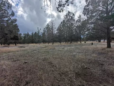 372 Co Rd 246 Chukar Ln, Alturas, CA 96101 photo 10