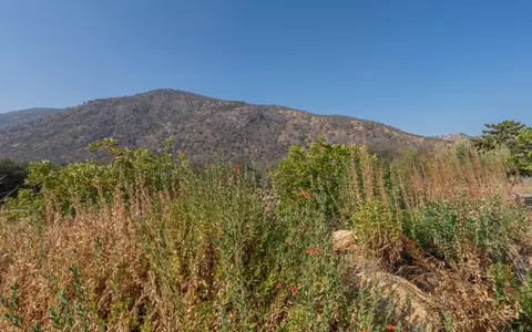 46101 S Fork Dr, Three Rivers, CA 93271 photo 37