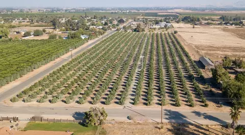 Road 244/avenue 92, Terra Bella, CA 93270