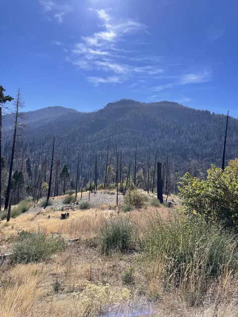 52567 Redwood Dr, Cedar Slope, CA 93265