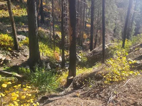 Balch Park Rd, Springville, CA 93265 photo 4