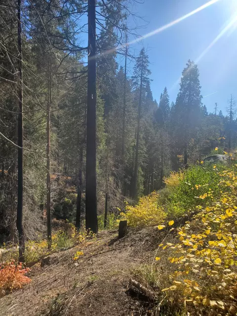 Balch Park Rd, Springville, CA 93265 photo 6