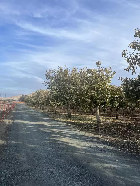 S Plano Street, Porterville, CA 93257