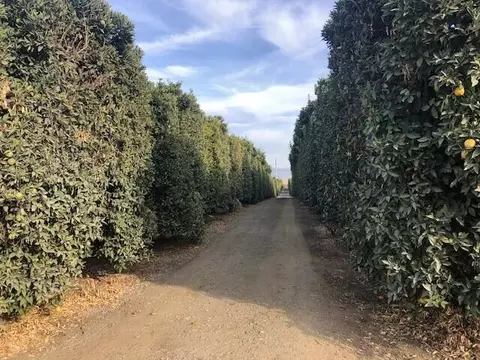 Road 252/ave 88, Terra Bella, CA 93270 photo 2