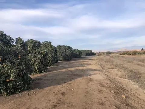 Road 252/ave 88, Terra Bella, CA 93270 photo 5