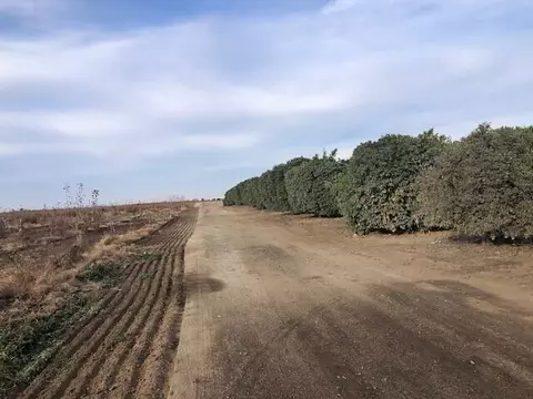 Road 252/ave 88, Terra Bella, CA 93270 photo 7