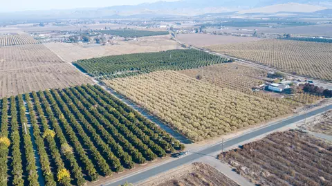 Road 252/ave 88, Terra Bella, CA 93270 photo 3