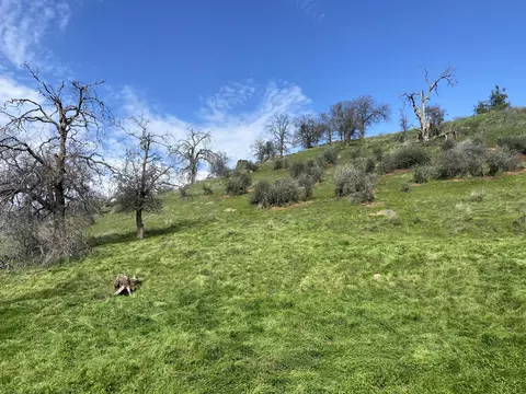 0 Ferndale Dr, Three Rivers, CA 93271 photo 2