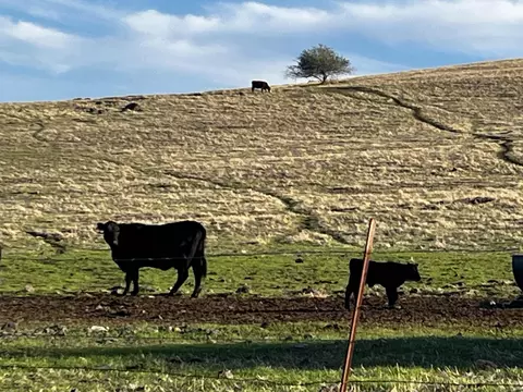 lot54 High Sierra Dr, Exeter, CA 93221 photo 16