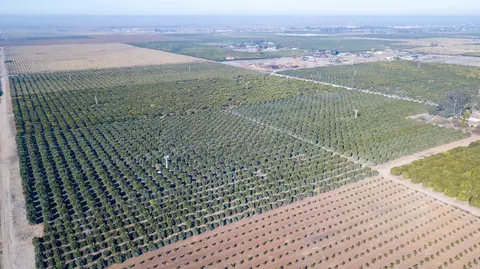 Avenue 76 & 78, Terra Bella, CA 93270