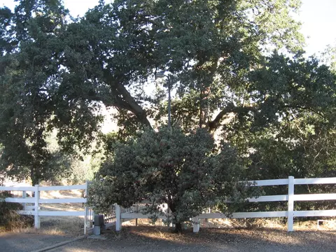 View/Area - 41425 E Mynatt Dr, Three Rivers, CA 93271 photo 8 of 8
