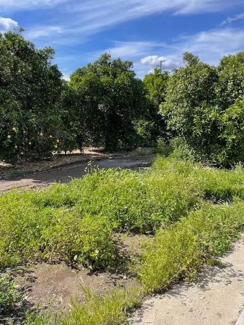 View/Area - 19774 Road 256, Strathmore, CA 93267 photo 1 of 1