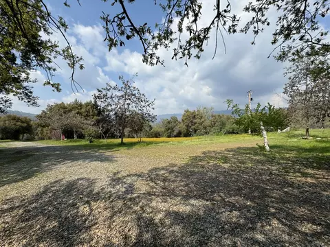 Exterior - 51870 Eshom Valley Dr, Badger, CA 93603 photo 21 of 66