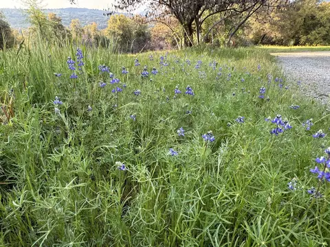 Other - 51870 Eshom Valley Dr, Badger, CA 93603 photo 6 of 19