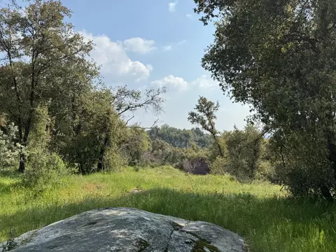 View/Area - 51870 Eshom Valley Dr, Badger, CA 93603 photo 39 of 44