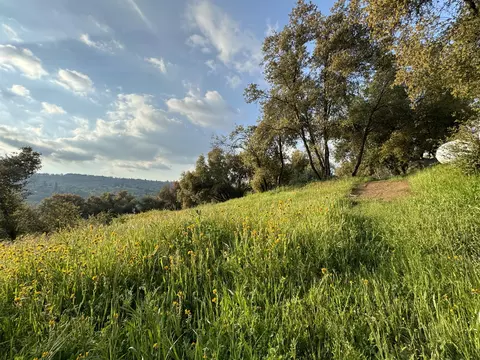 View/Area - 51870 Eshom Valley Dr, Badger, CA 93603 photo 29 of 44