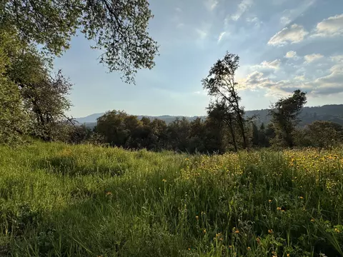 View/Area - 51870 Eshom Valley Dr, Badger, CA 93603 photo 30 of 44