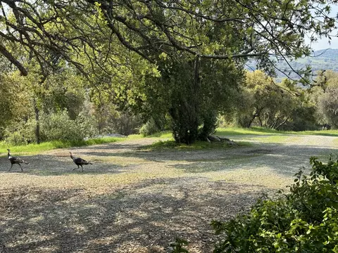 Exterior - 51870 Eshom Valley Dr, Badger, CA 93603 photo 64 of 66