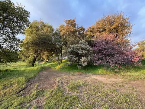 Exterior - 51870 Eshom Valley Dr, Badger, CA 93603 photo 17 of 66
