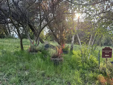 Exterior - 51870 Eshom Valley Dr, Badger, CA 93603 photo 28 of 66