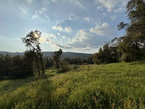 View/Area - 51870 Eshom Valley Dr, Badger, CA 93603 photo 28 of 44