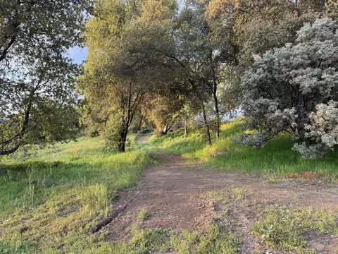 View/Area - 51870 Eshom Valley Dr, Badger, CA 93603 photo 11 of 44