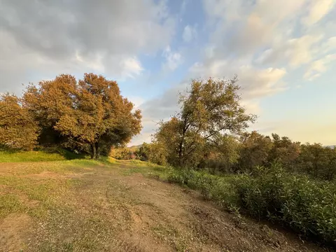 Exterior - 51870 Eshom Valley Dr, Badger, CA 93603 photo 18 of 66