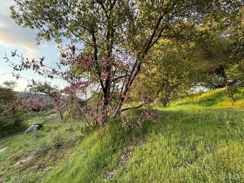 View/Area - 51870 Eshom Valley Dr, Badger, CA 93603 photo 13 of 44