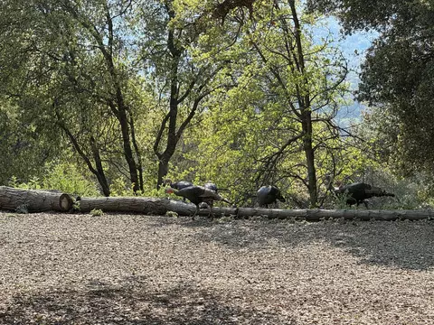 Exterior - 51870 Eshom Valley Dr, Badger, CA 93603 photo 60 of 66