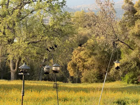 View/Area - 51870 Eshom Valley Dr, Badger, CA 93603 photo 18 of 44
