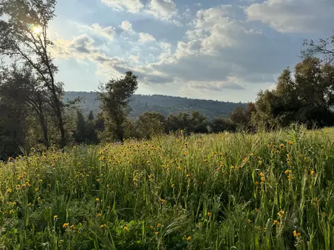 View/Area - 51870 Eshom Valley Dr, Badger, CA 93603 photo 31 of 44