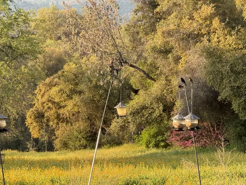 View/Area - 51870 Eshom Valley Dr, Badger, CA 93603 photo 17 of 44