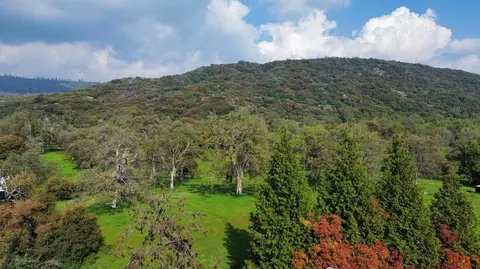 View/Area - 51870 Eshom Valley Dr, Badger, CA 93603 photo 3 of 44