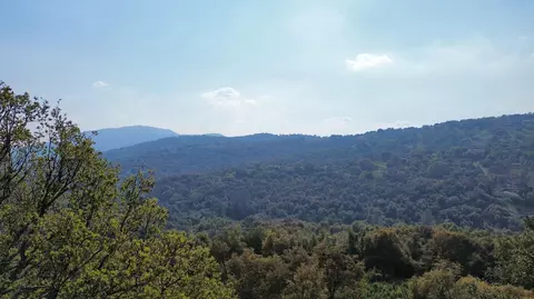 View/Area - 51870 Eshom Valley Dr, Badger, CA 93603 photo 37 of 44