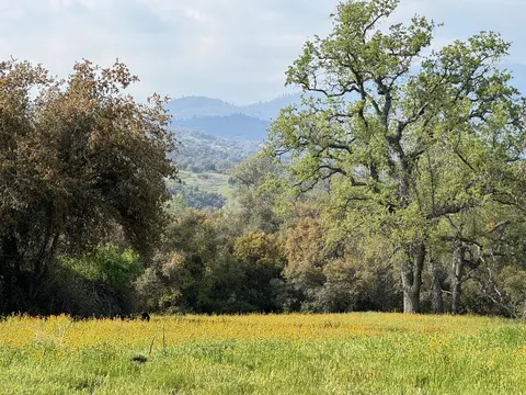View/Area - 51870 Eshom Valley Dr, Badger, CA 93603 photo 1 of 44