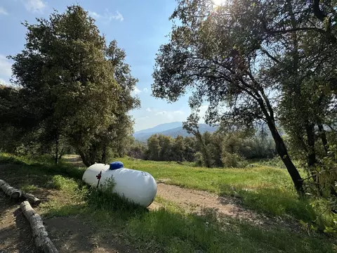 Exterior - 51870 Eshom Valley Dr, Badger, CA 93603 photo 50 of 66