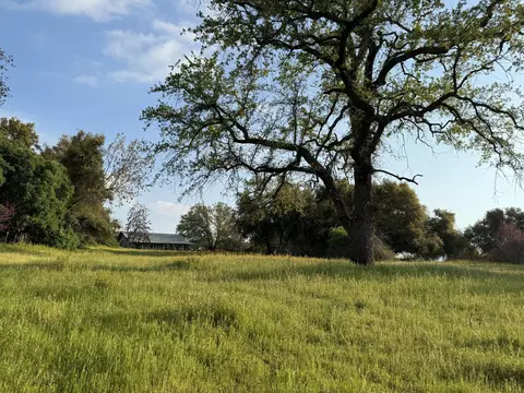 Exterior - 51870 Eshom Valley Dr, Badger, CA 93603 photo 29 of 66