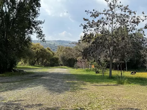 View/Area - 51870 Eshom Valley Dr, Badger, CA 93603 photo 44 of 44