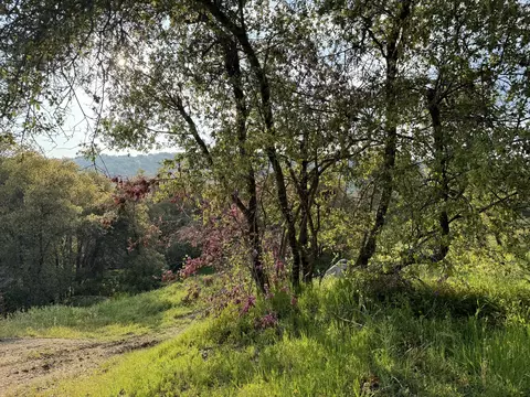 View/Area - 51870 Eshom Valley Dr, Badger, CA 93603 photo 32 of 44