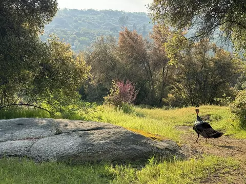 View/Area - 51870 Eshom Valley Dr, Badger, CA 93603 photo 5 of 44