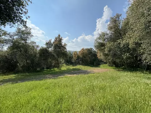 Other - 51870 Eshom Valley Dr, Badger, CA 93603 photo 13 of 19