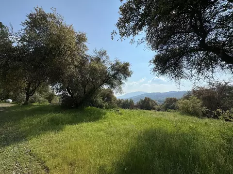 View/Area - 51870 Eshom Valley Dr, Badger, CA 93603 photo 42 of 44